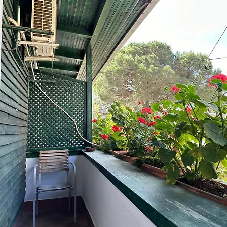 Alara Apartment *